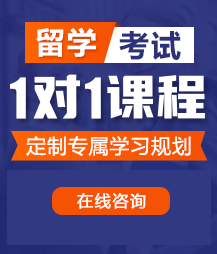 情人操逼综合网留学考试一对一精品课